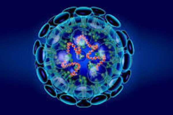 Spot vidéo sur le coronavirus Source: MSAS